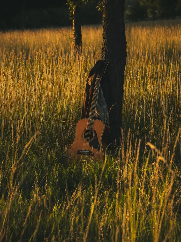 Acoustic guitar leaning against a tree in tall golden grass