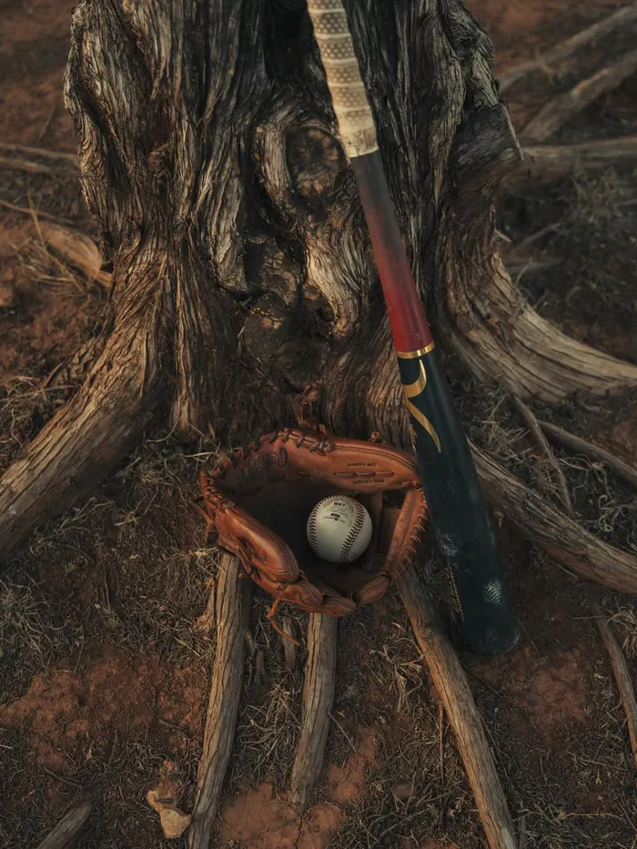 Baseball glove, ball and bat resting in tree roots