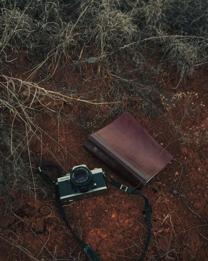 Vintage film camera and leather notebook on the forest floor